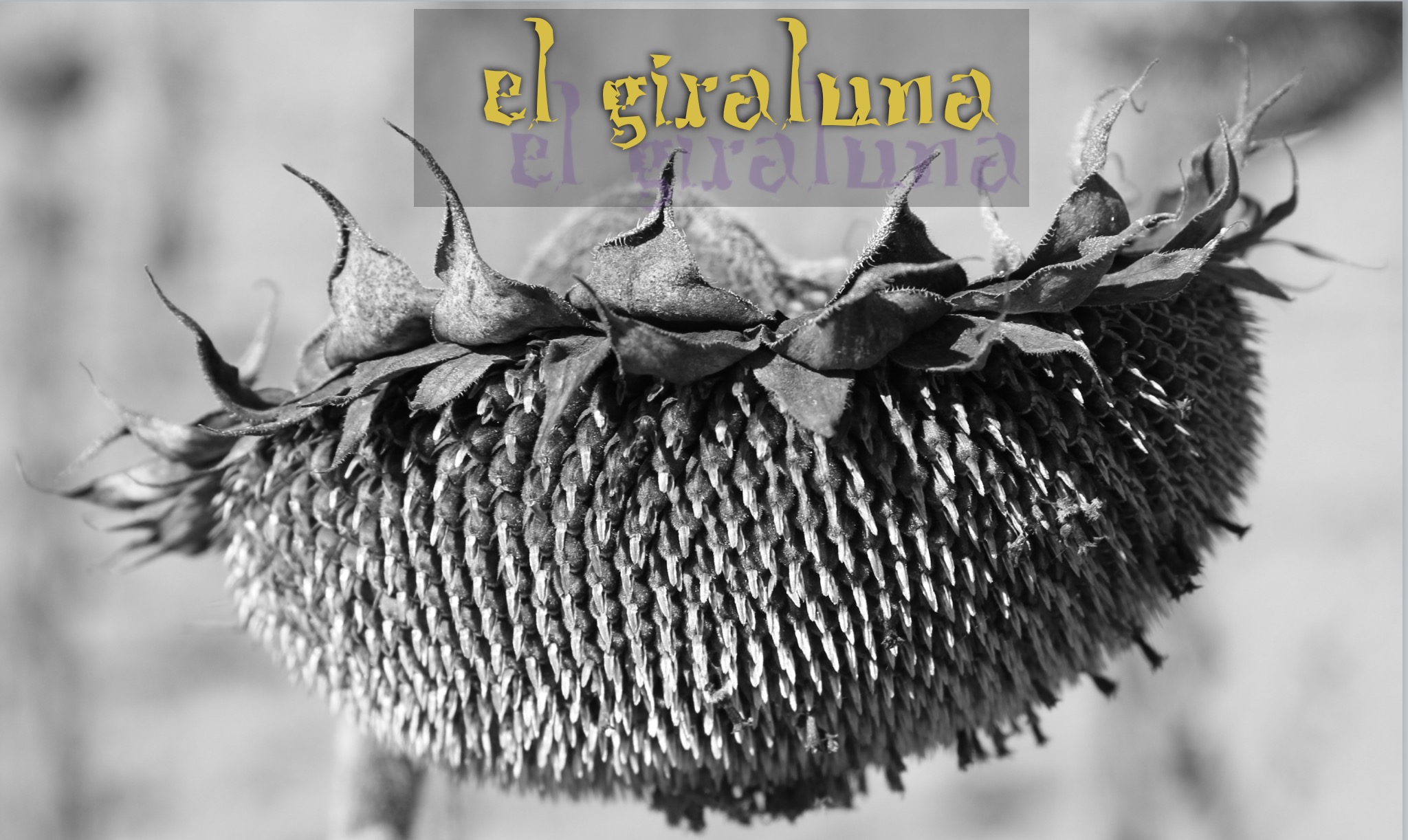 *El Giraluna (2014)
